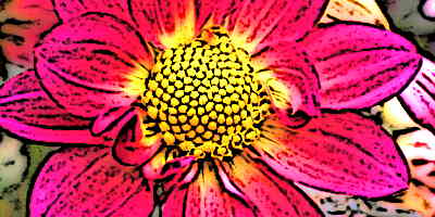 Dahilia Aztec Flower